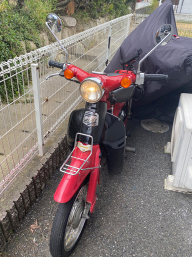 リトルカブ　赤黒　人気　値下げ