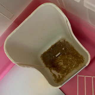 うさぎ ケージの画像