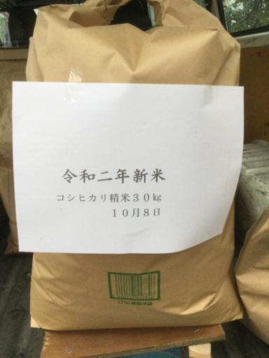コシヒカリ新米