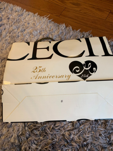 CECIL Mc BEEのショップ袋洋服福袋のおまけ品