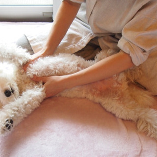 【【追加日程🐶募集中】愛犬さんの肩こり首こりケアマッサージ教室の画像