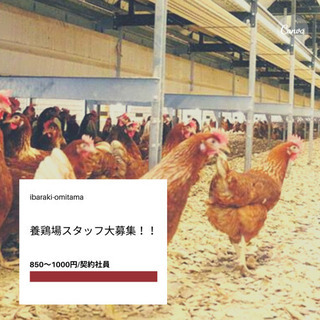 契約社員,フルタイム,保険完備！養鶏場で一緒に働きたい元気な方募集＊