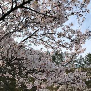 魁！笑塾！ - その他