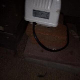 値下げ！浄化槽　エアーポンプ　日本電興(NIHON DENKO) 電磁式エアーポンプ 30L NIP-30L ホワイト

の画像