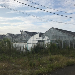 ★未公開物件★小学校前の相互通行道路★約4000坪の広大な敷地★...