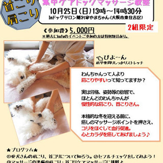 【【追加日程🐶募集中】愛犬さんの肩こり首こりケアマッサージ教室