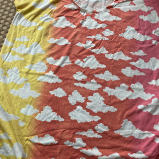 ラストチャンス！graniphTシャツ！