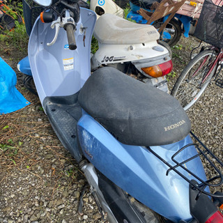 HONDA50CCバイク動きますの画像