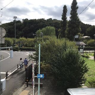 【成増・西高島平・和光市】スタッフ 大募集の画像