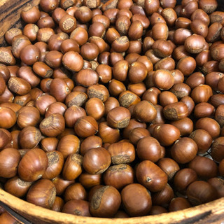 高尾山で甘栗の販売の画像
