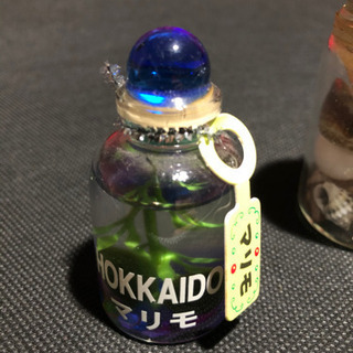 ディスプレイ品★2点セットの画像