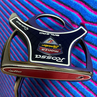 テーラーメイドクラブの画像