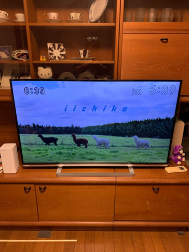 東芝　REGZA 50インチ　薄型　液晶テレビ