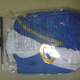 美女と野獣の野獣 Disney衣装 コスプレ パーティーグッズの画像