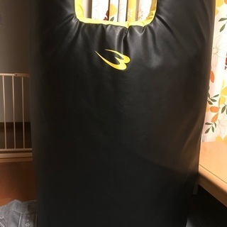 空手など　ビッグミット(bodymaker)