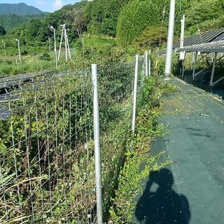 草刈りは面倒ではありませんか？ - 地元のお店