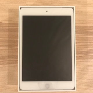 極美品 iPad mini 5 wifi 256GB (第5世代)