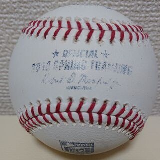 メジャーリーグ キャンプ使用公式ボールの画像