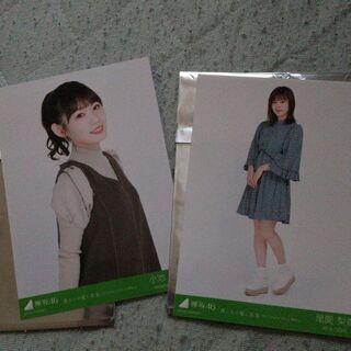 欅坂46の画像