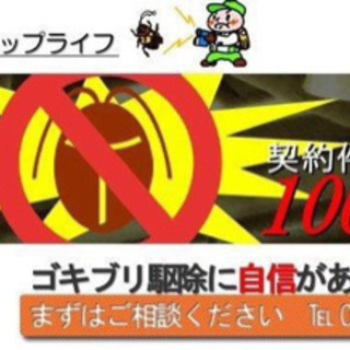 ゴキブリ駆除
