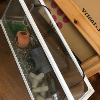 水槽　現状渡し