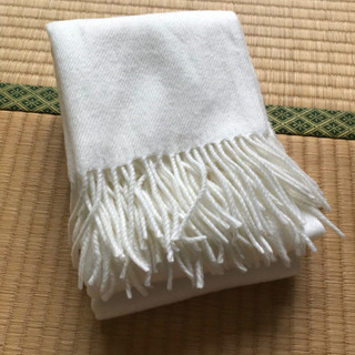 マフラー　10/14の画像