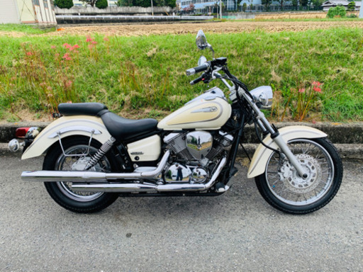 大人気‼️ヤマハドラッグスター250‼️綺麗な車両ですっ‼️