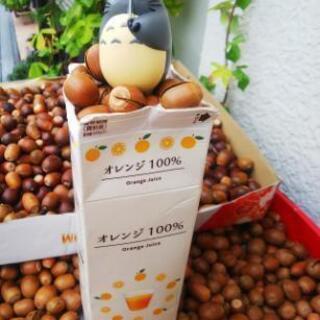 どんぐり ください！ - 助け合い