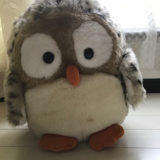 フクロウ🦉