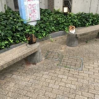 今日これからカラオケとかお茶、ご飯でも😄 - 友達