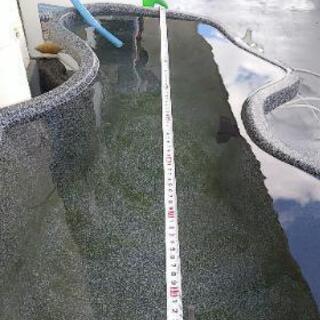 ( 金魚 メダカ) 飼育用ヒョウタン池 の画像