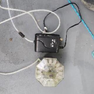 ( 金魚 メダカ) 飼育用ヒョウタン池 の画像