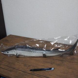 チョウザメ スクイーズ フィギュア の画像