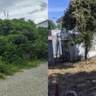 空き地の草刈り、草むしり、木の伐採【地域限定格安プラン】