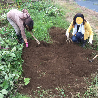 【畑代無料】畑仲間募集(山北) 自由がモットー😄♪