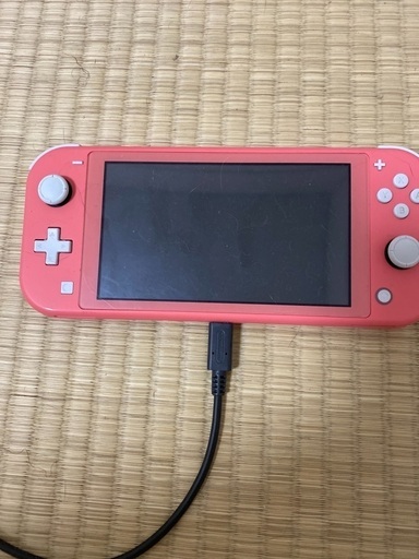 その他 Switch Lite