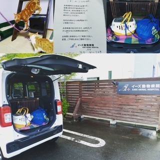 動物病院・ペットサロンへの送迎は、まじめなペットシッターにお問合...