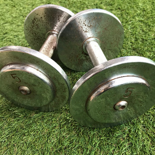 【２個セット】ダンベル 5kg×2個 直径15cm×長辺19cm