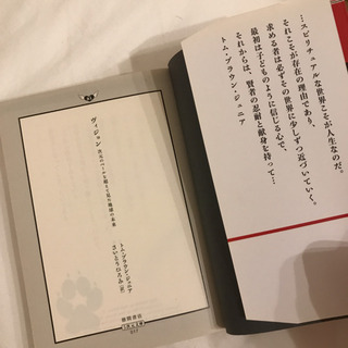 ヴィジョンの画像