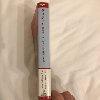 ヴィジョンの画像