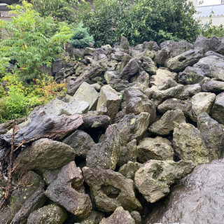 軽石　火山岩　盆栽などに！の画像