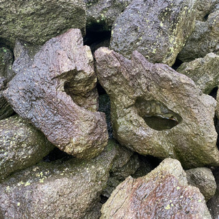 軽石　火山岩　盆栽などに！の画像