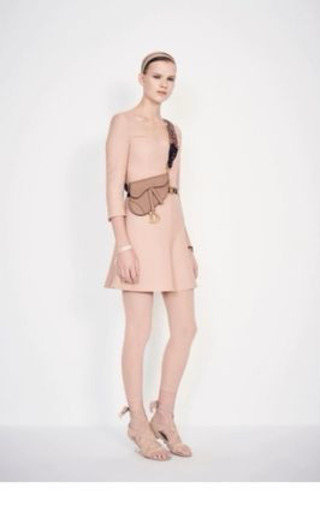 ☆レア DIOR SADDLE フラットベルトポーチ(バッグ)☆