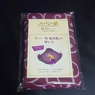 ルパンの娘  ふろしき  フジテレビ