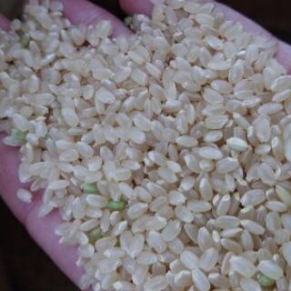 令和2年　広島県産あきろまん玄米30kgの画像