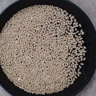 令和2年　広島県産あきろまん玄米30kgの画像