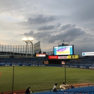 ヤクルトLINEグルチャメンバー大募集‼️
