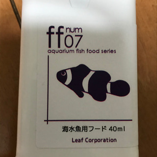 トビハゼ 5cm程度 １匹〜の画像