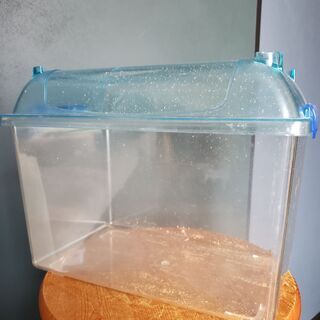 画像の虫かご２つ
