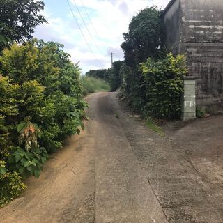 間口広々、国道沿い売地 - 不動産